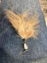 Feather and Pearl Earring