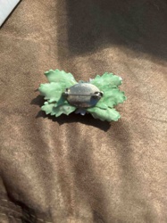 Vintage Green Leaf Brooch with Pin Back