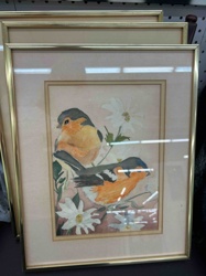 Framed Watercolor Painting of Two Birds and Daisies