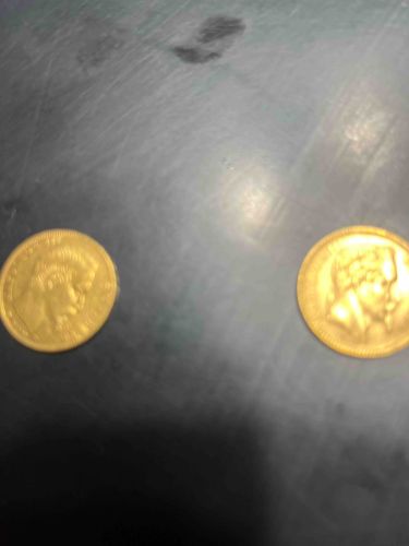 Pair of Gold Coins
