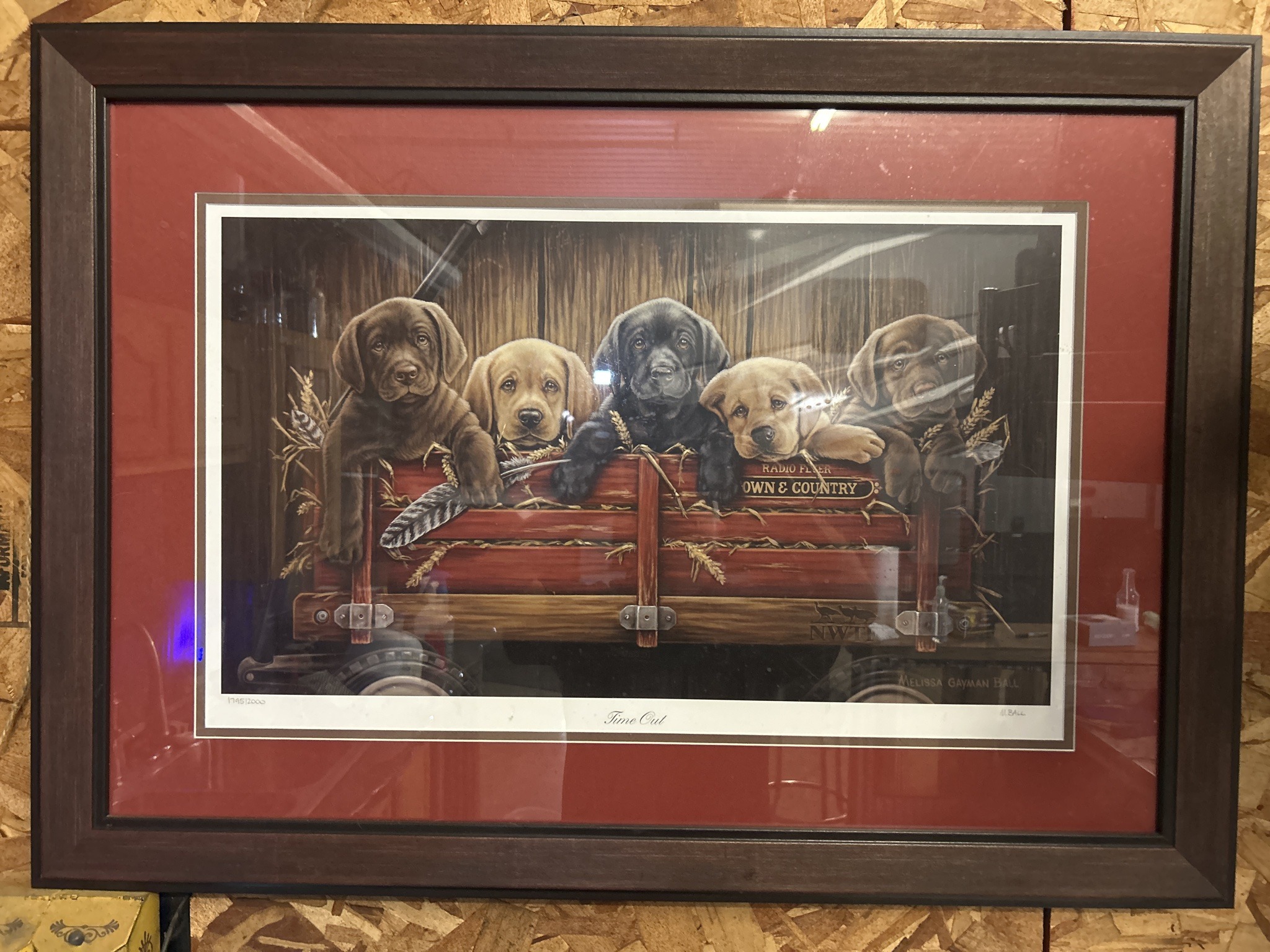 Submitted photo of Framed print titled 'Time Out' signed 'Melissa Gayman Ball' (not authenticated)