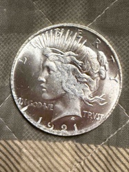 1921 Peace Dollar (Obverse)