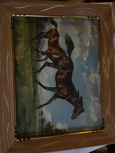 Framed Print of Two Rearing Horses