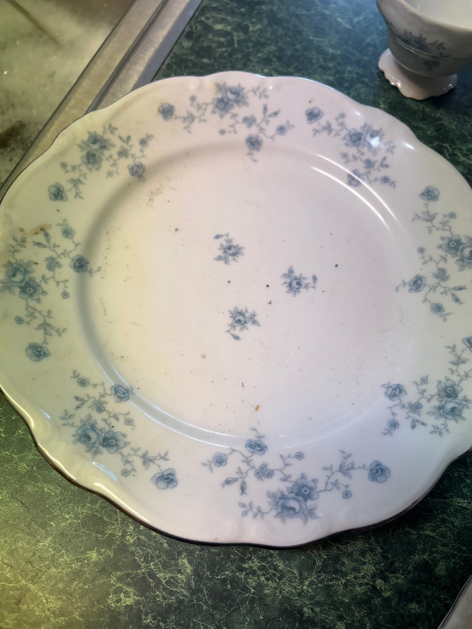 Submitted photo of Porcelain Dinner Plate