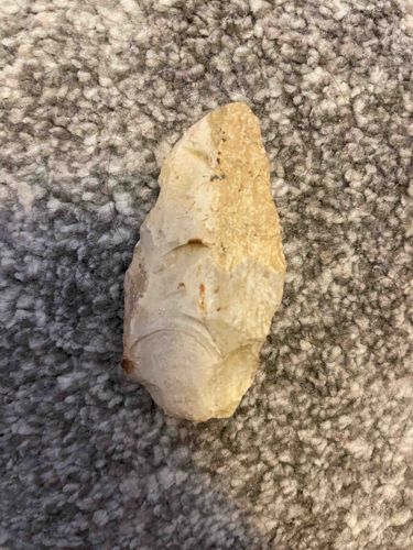 Paleolithic Stone Tool Fragment / Chert Flake