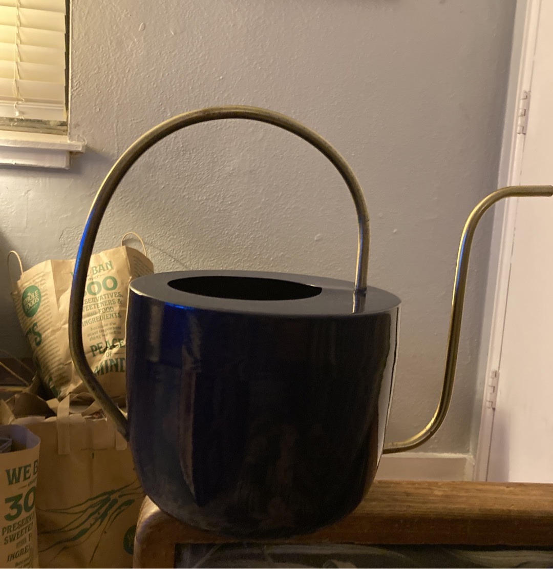 Submitted photo of Modernist-Style Dark Blue and Brass-Finished Metal Watering Can