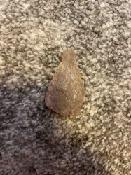 Stone Point/Projectile Point