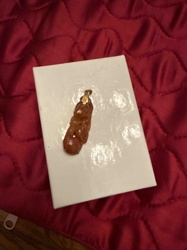 Brown Organic Shaped Pendant with Gold-Tone Bail