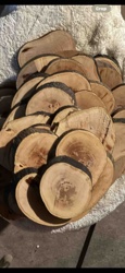 Assorted Wood Slices / Tree Slabs