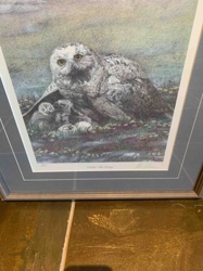 Under the Wing" Limited Edition Print by Albert Casson