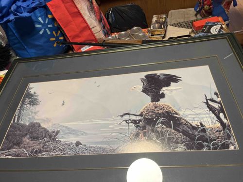 Framed Bald Eagle Print
