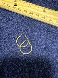 Pair of Gold-Toned Hoop Earrings