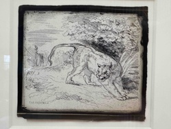 Crouching Feline (Lioness or Puma) Print, Attributed to Eugène Delacroix