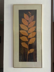 Framed Botanical Print of Autumn Leaves