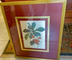 Framed Botanical Print of Cherries