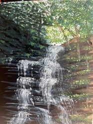 Waterfall in Forest Landscape
