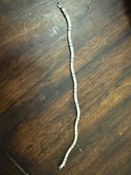Wavy Diamond Tennis Bracelet
