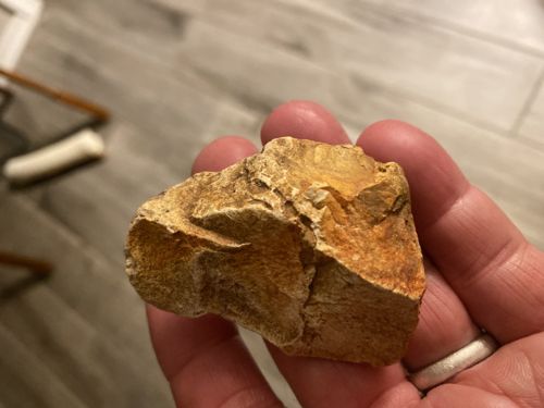 Paleolithic Lithic Scraper / Portable Rock Art