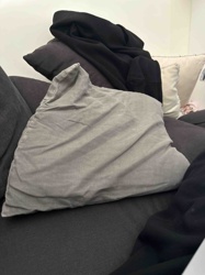 Assorted Sofa Cushions and Throw