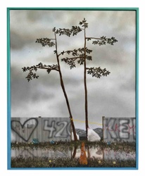 Urban Landscape with Trees and Graffiti