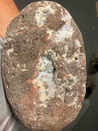 Unpolished Chalcedony Geode (Thunderegg)