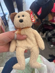 Ty Beanie Baby 'Roughy' (or similar bear type, pending tag verification)