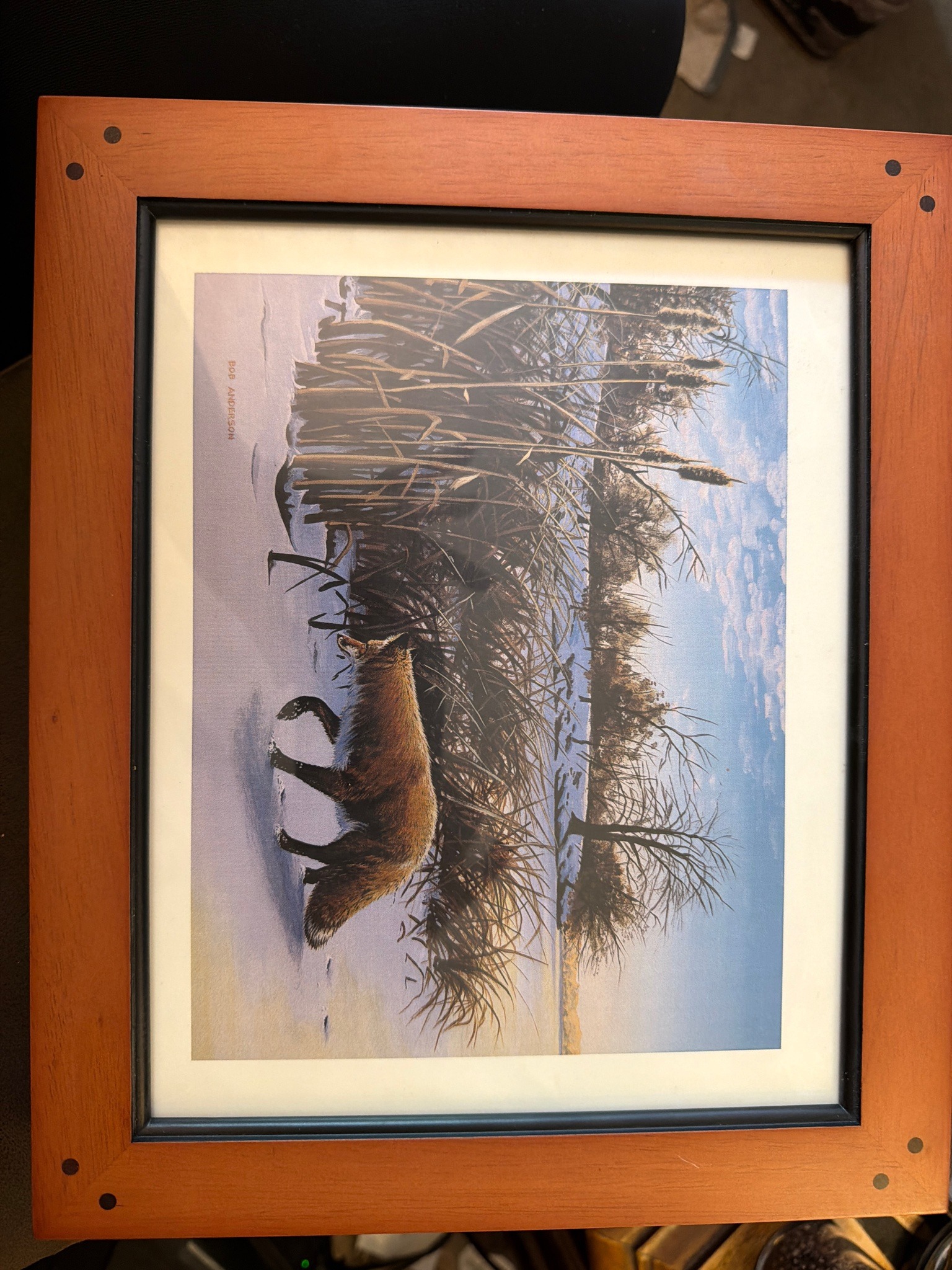 Submitted photo of Print bearing the name 'Bob Anderson'