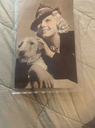Jean Harlow Photogravure Portrait Postcard
