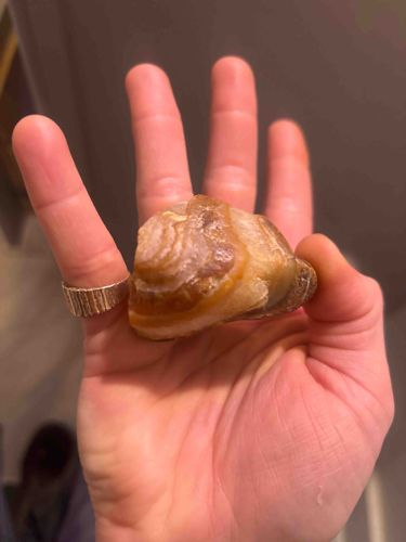 Lake Superior Agate