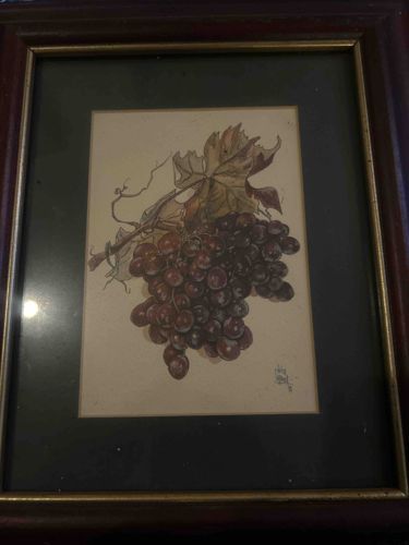 Framed Botanical Print of Purple Grapes with Vine and Leaf