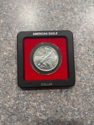 American Silver Eagle Dollar Coin in Display Case