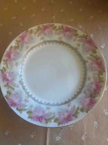 Vintage Limoges-Style Floral Porcelain Plate