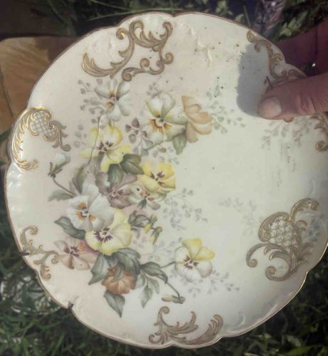 Antique Victorian Hand-Painted Floral Porcelain Cabinet Plate