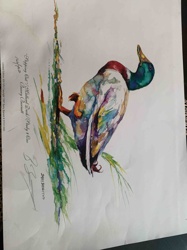 Limited Edition Art Print: Dipping Out / Mallard Duck / Pond & Rim by Barry Barnett