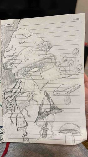 Mushroom-Themed Graphite Sketch in Ruled Journal