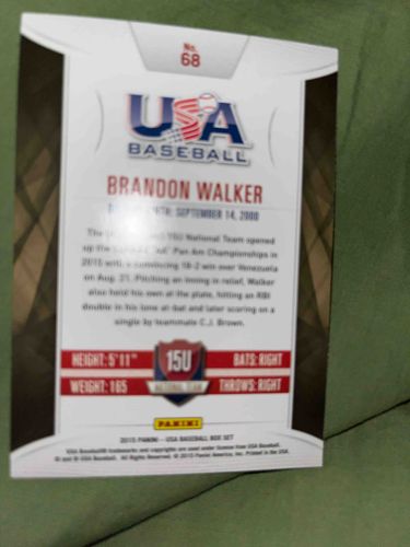 Panini USA Baseball Brandon Walker 2015 Trading Card (Back)