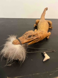 Taxidermied Alligator with Fur 'Beard' and Foot Charm