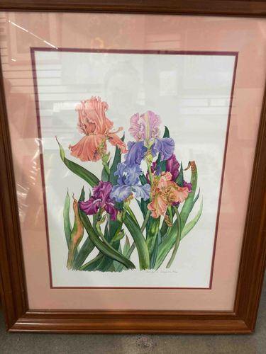 Framed 'Irises' Botanical Print by Carolyn Jay Capello
