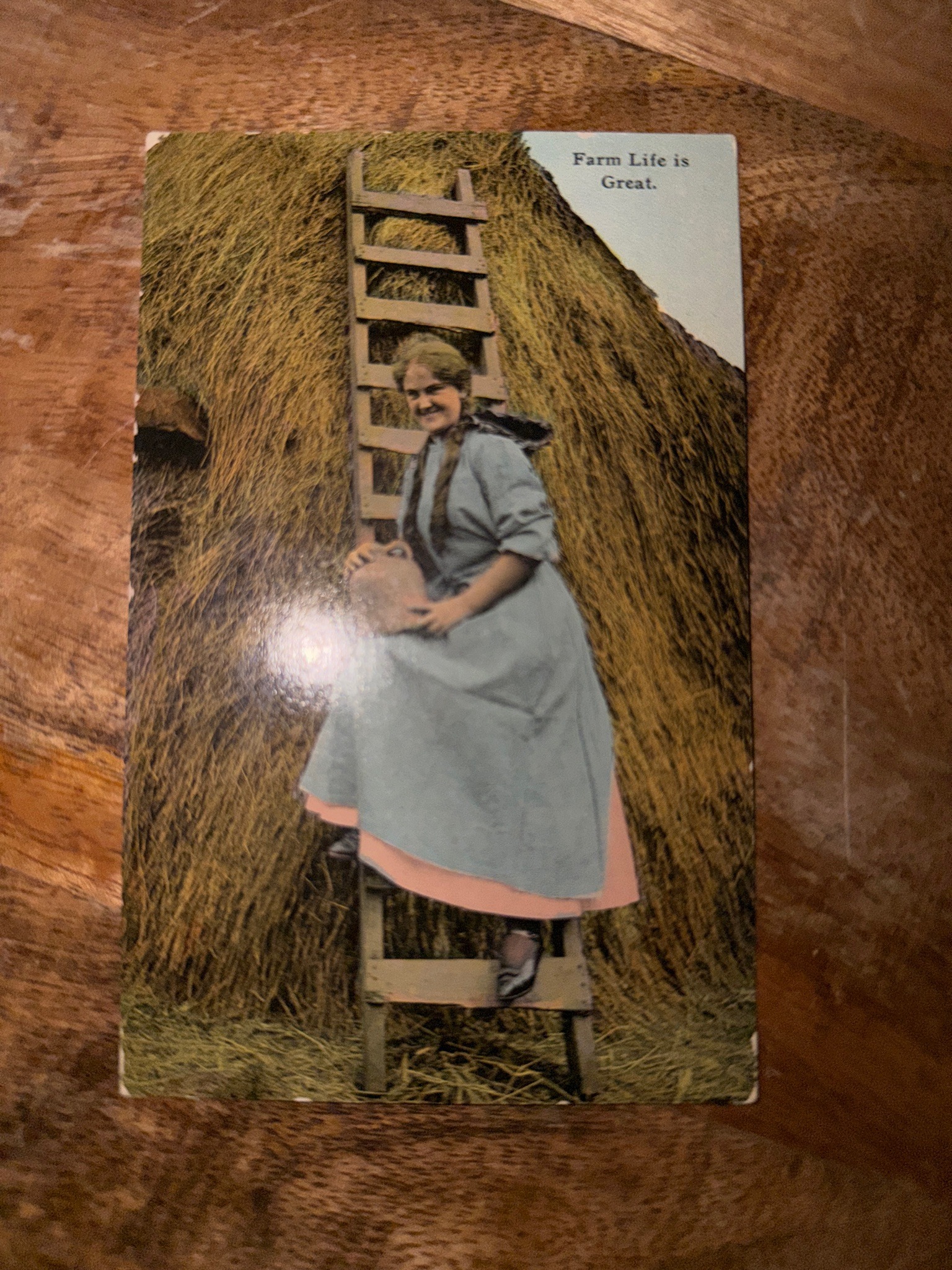 Submitted photo of Vintage postcard featuring a woman on a ladder