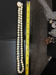 Cultured Pearl Necklace with Gold Tone Clasp