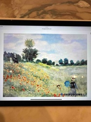 Digital Display of 'Poppy Field near Argenteuil' (Monet Reproduction) from ShopGoodwill
