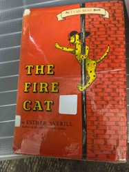The Fire Cat