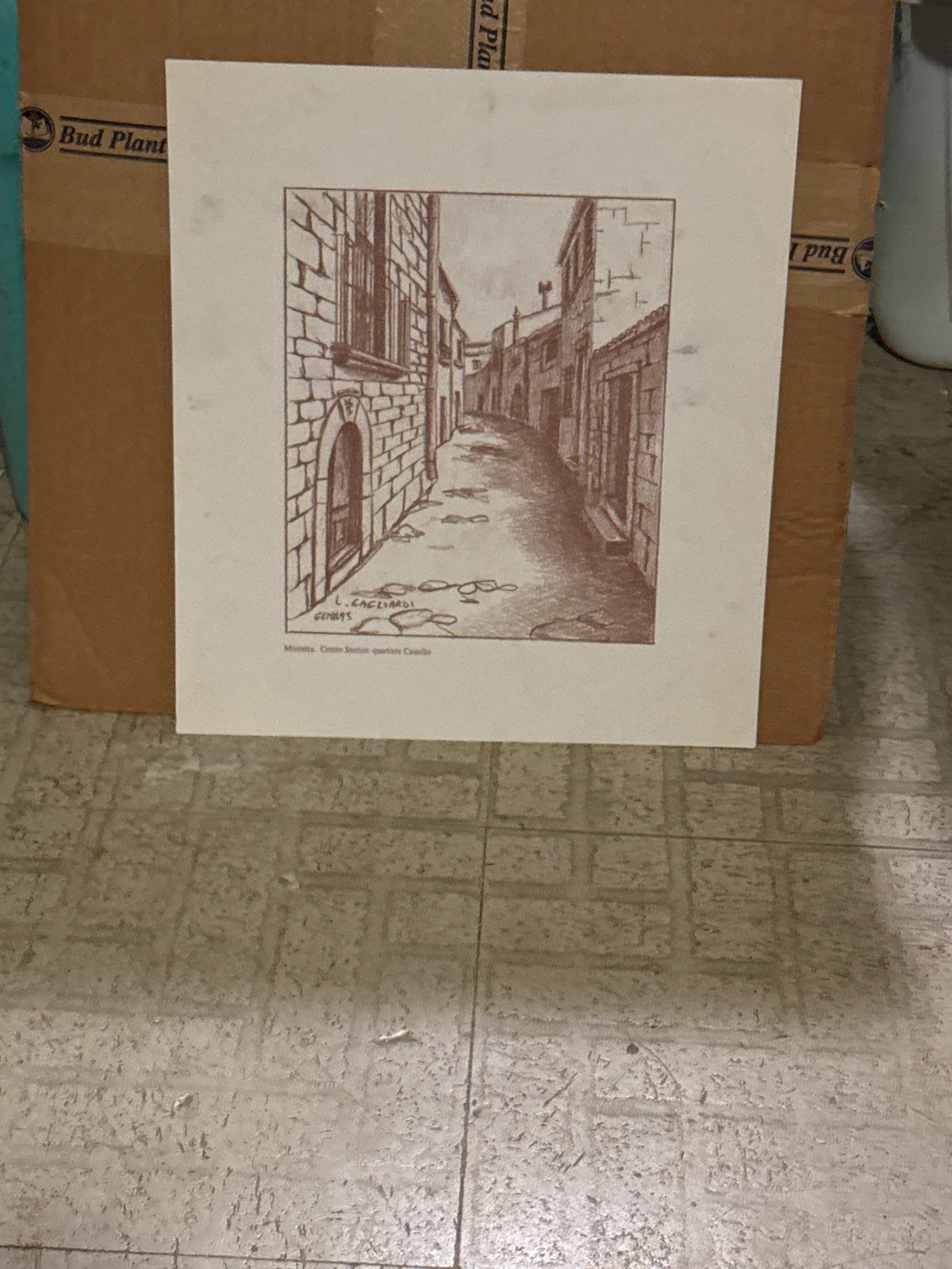 Submitted item photo