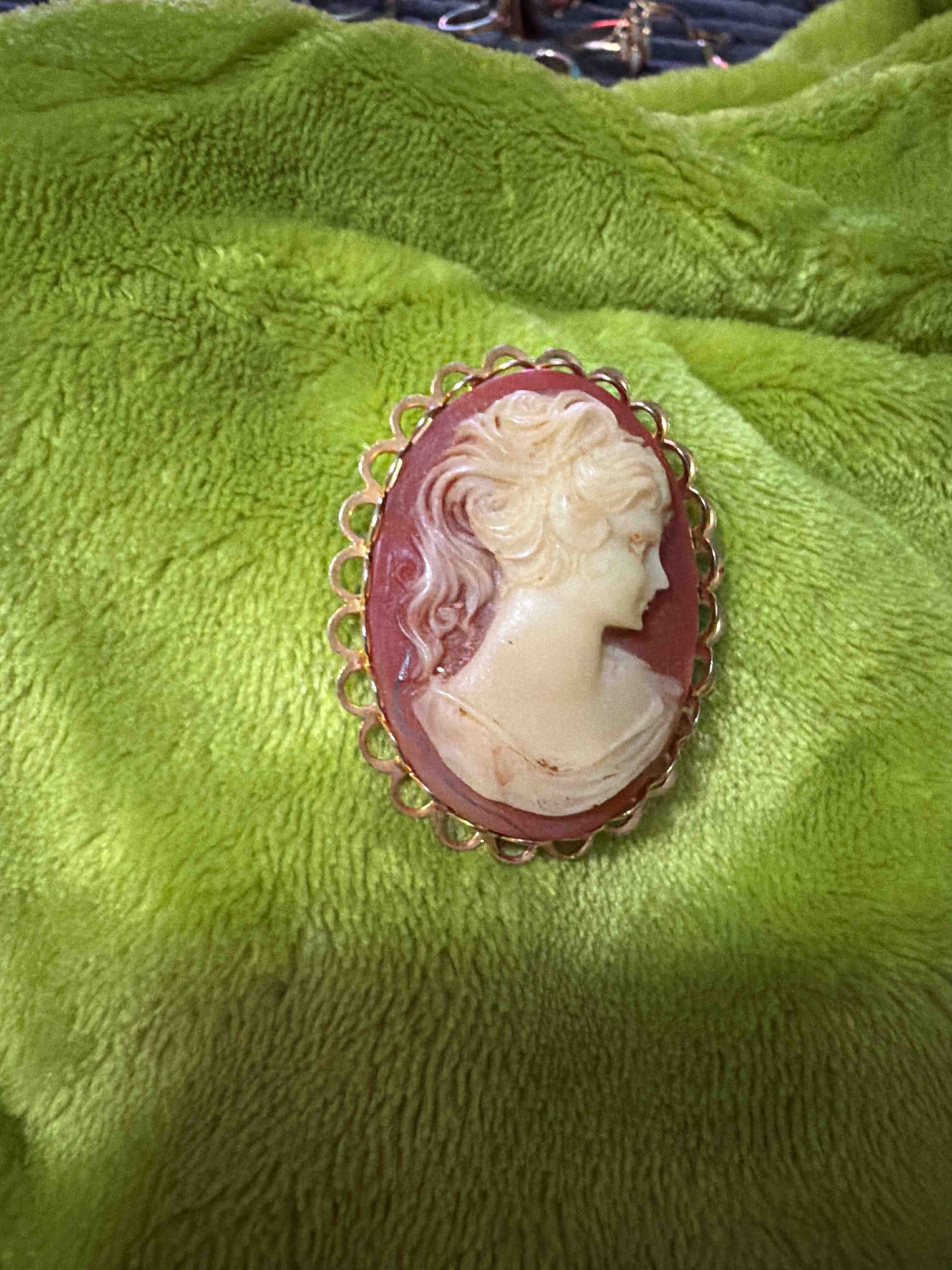 Vintage Carved Shell Cameo Brooch in Gold-Tone Frame