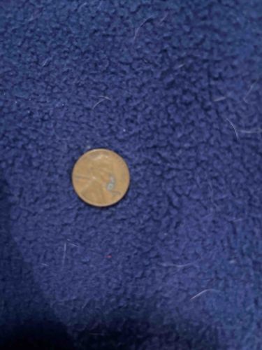 Lincoln Cent (Penny)