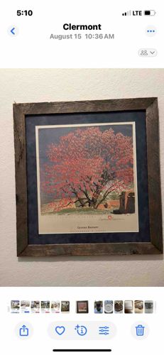 Framed 'Geranus Bouquet' Tree Print