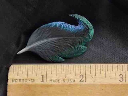 Ward E. Herrmann Carved Iridescent Feather Brooch