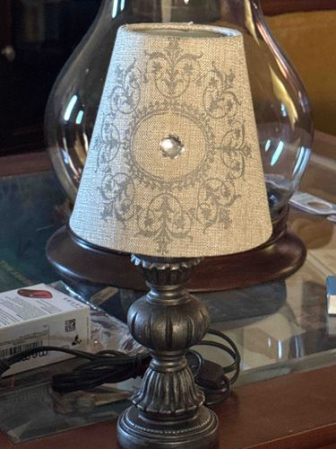 Accent Table Lamp with Damask Shade