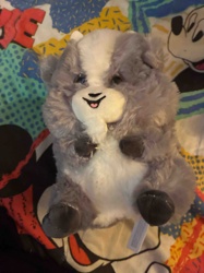 Grey and White Badger Plush Stuffed Animal