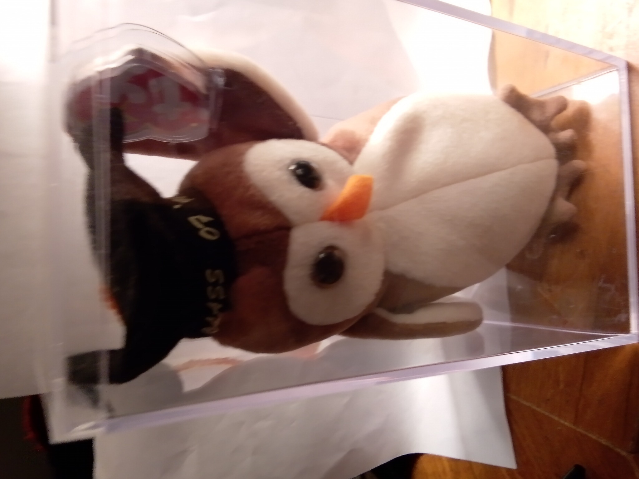 Submitted photo of Ty Beanie Baby 'Wise' the Owl (not authenticated)